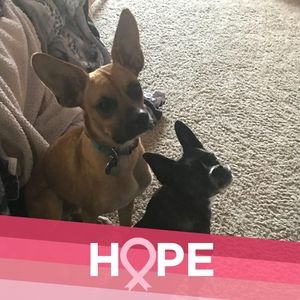 Meet your Posher, Judi